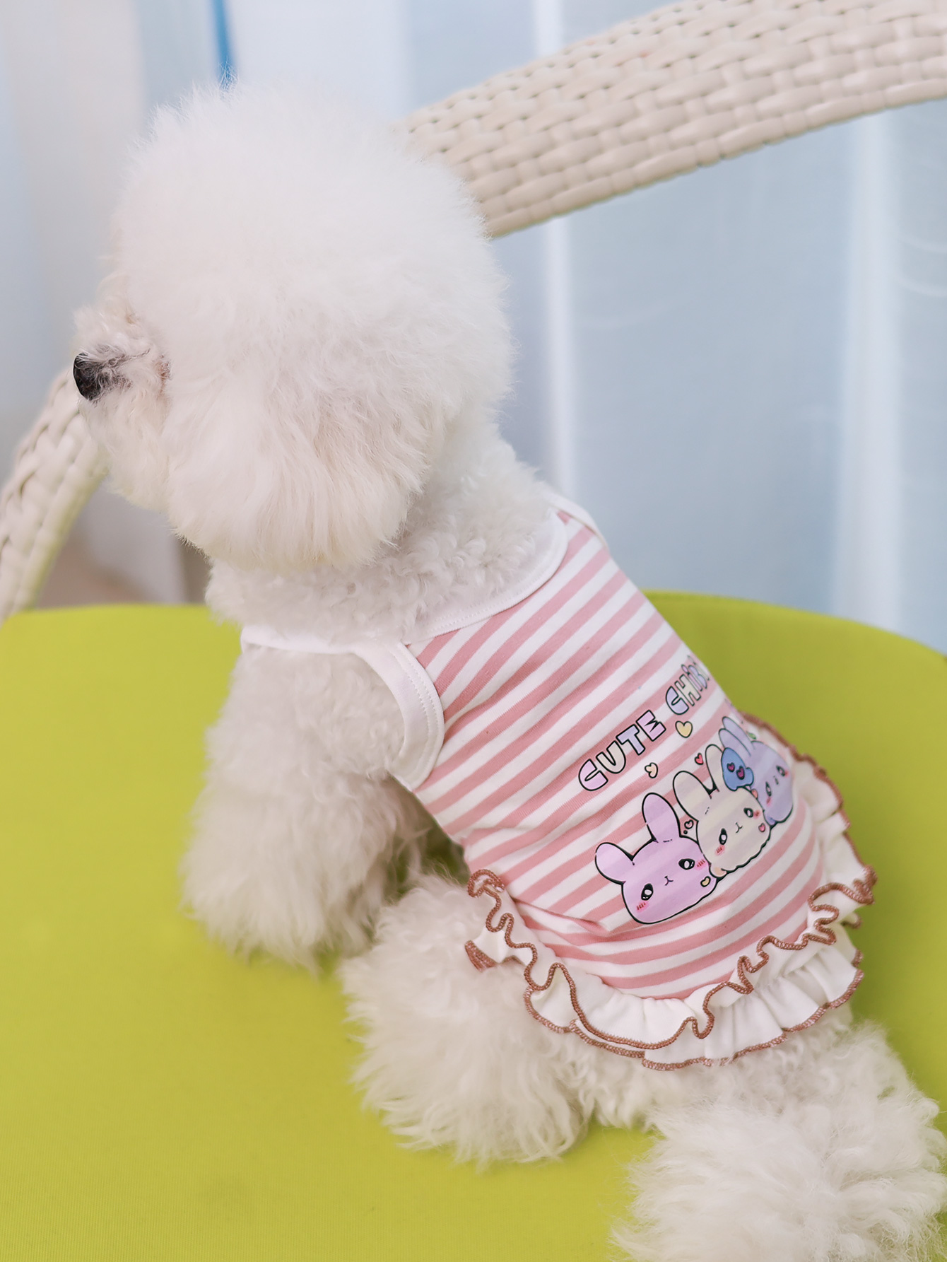 Dog vest, summer breathable th - đánh giá và giá Summer Clothing Material