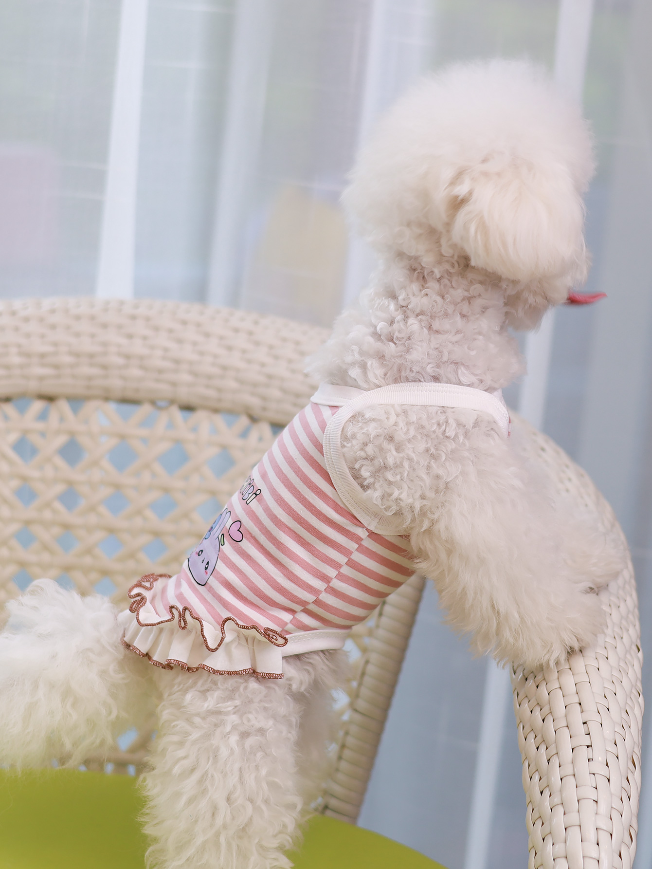 Dog vest, summer breathable th - đánh giá và giá Summer Clothing Material