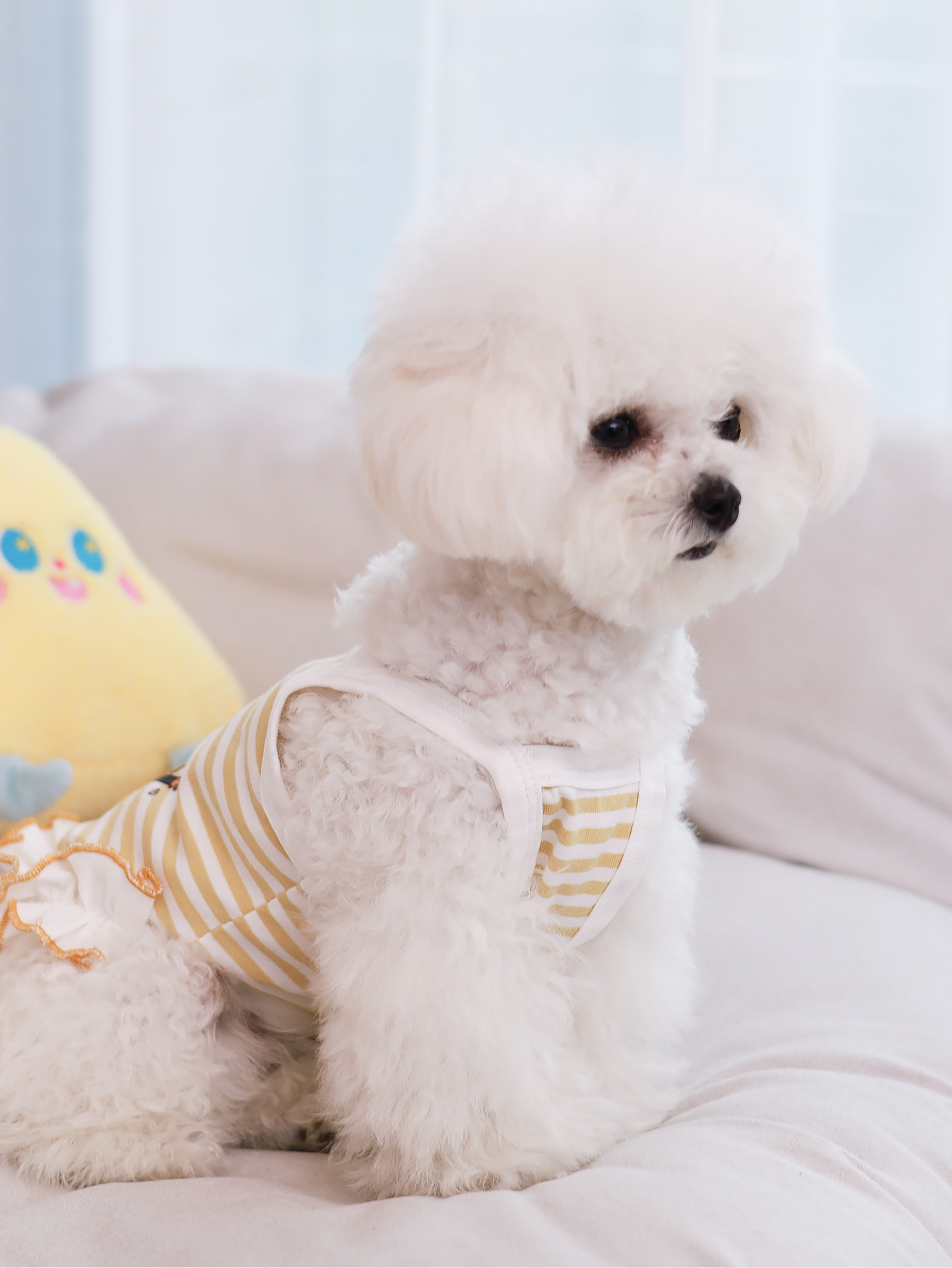 Dog vest, summer breathable th - đánh giá và giá Summer Clothing Material
